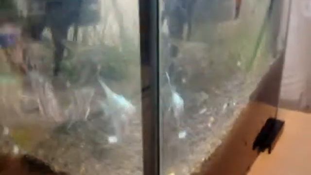 Подмена у скалярий смотреть онлайн