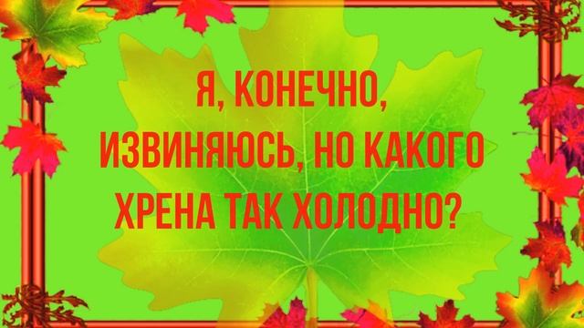 ЮМОР.Осень холод!Кукушка -Кукушка,а когда Бабье лето? КУКУЙ ее знает!Улыбнись! смотреть онлайн