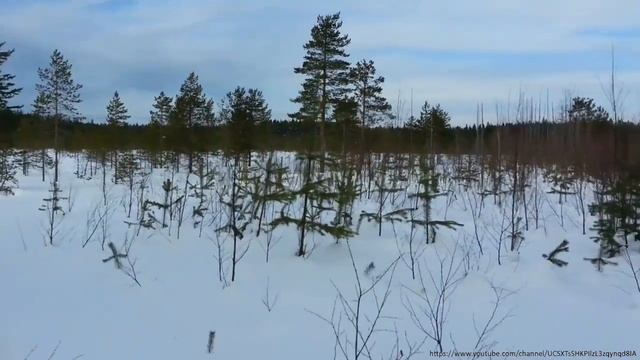 Озеро Половинное смотреть онлайн