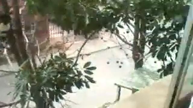 Gato volador 2.0 parte 2