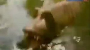 Щука Клюка из Секретов Лунтика