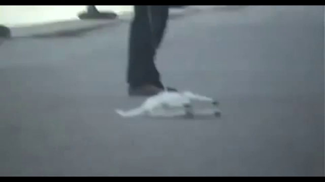 Очень ленивый пес смотреть онлайн