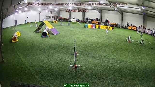 Квалификационные соревнования Манеже Строгино. смотреть онлайн