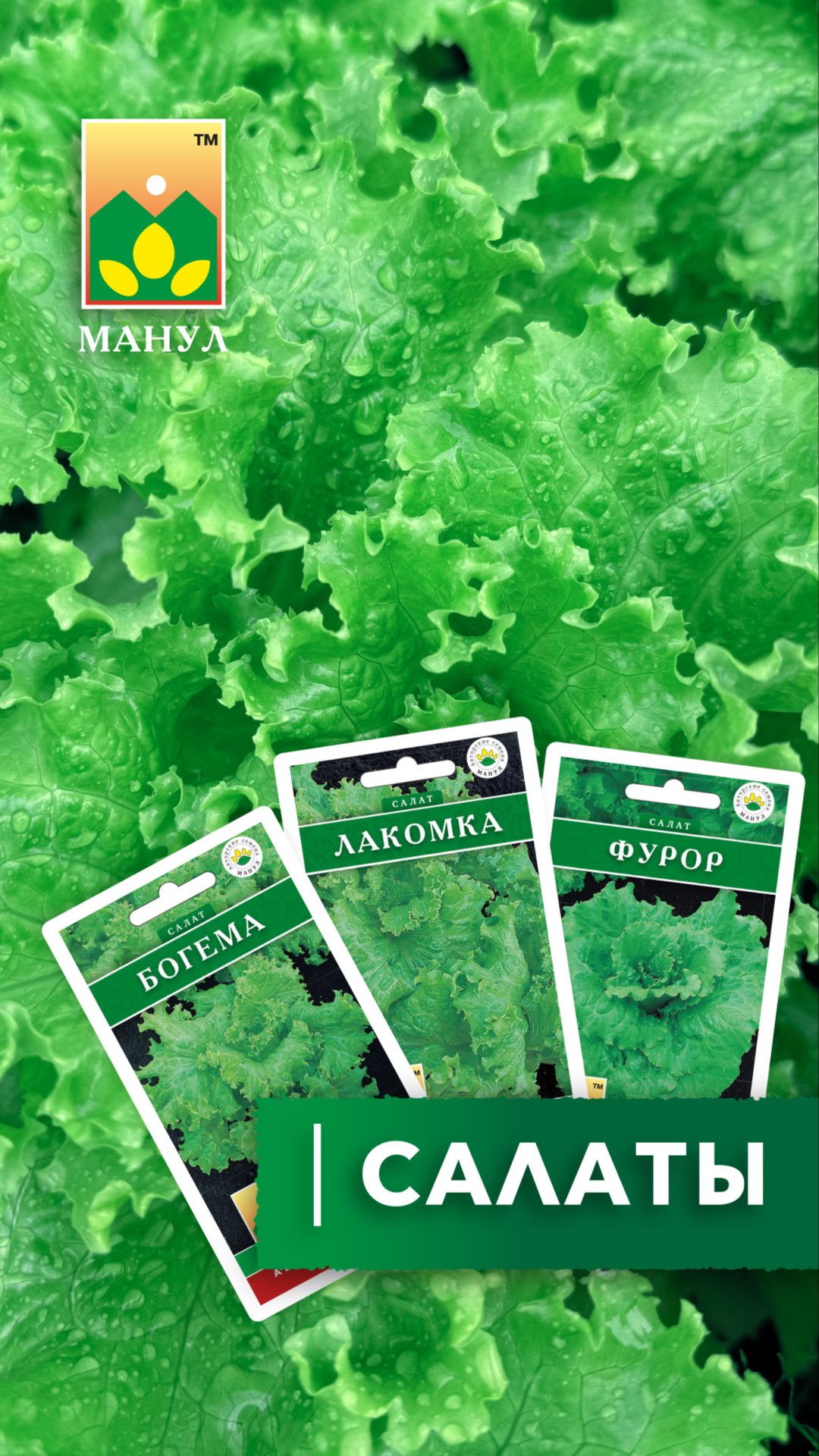 ВКУСНЫЕ, СОЧНЫЕ САЛАТЫ!