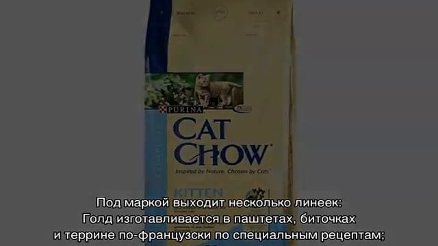 Пурина: корм для кошек и котят, о сухих и влажных видах смотреть онлайн