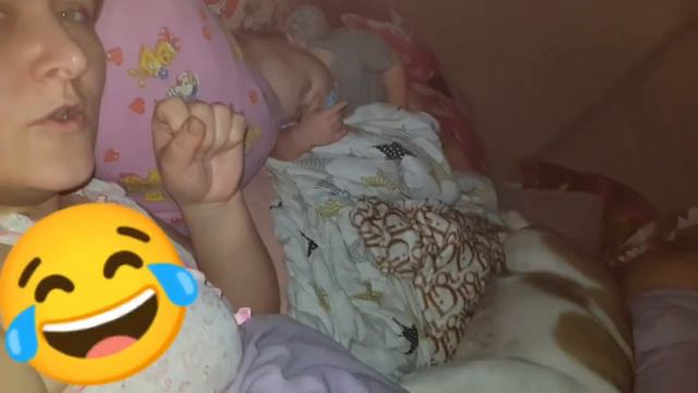 " Теремок" В мире животных. live journal. в тесноте да не в обиде 🤣 смотреть онлайн