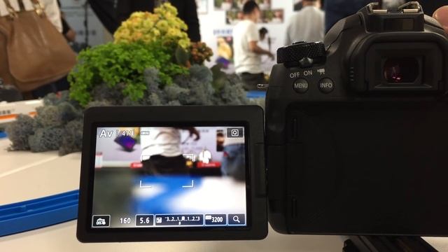 Canon EOS 77D AF-C Speed смотреть онлайн
