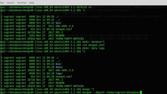 Install MongoDB Tarball on Ubuntu / Debian servers смотреть онлайн