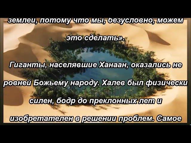 Община Жителей Пустыни