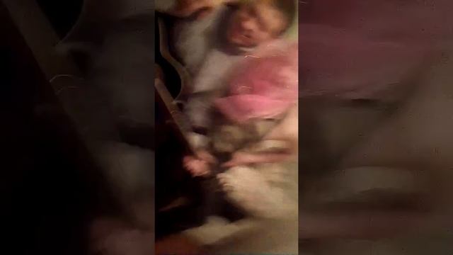 Вздрочнуть:D Под гитару(Казантропов) смотреть онлайн