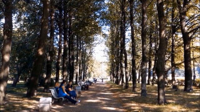 Парк городской смотреть онлайн