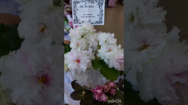 посетители выставки  вот так 