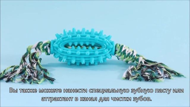 Игрушка для собак в форме кактуса с молярной веревкой, игрушки для домашних животных смотреть онлайн