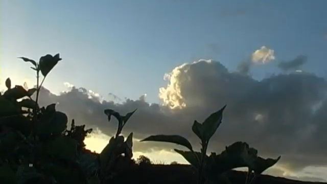 Canon XM II & Timelapse смотреть онлайн