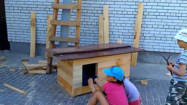 Dog house смотреть онлайн