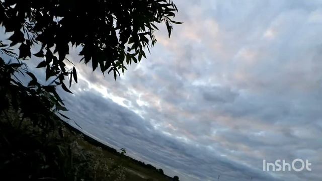 Охота на Вяхиря из скрадка с Тоз Б 16кал смотреть онлайн