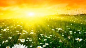 НОКТЮРН  Арно Бабаджанян  исп Март Бабаян.