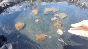 что надо сделать  чтобы вода в пруду не испортилась, не застоялась.