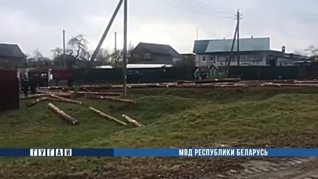 В Могилевском районе из «МАЗа» выпали бревна. Пострадали двое смотреть онлайн