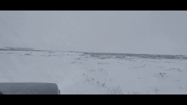2022 12 02 СыръЯга смотреть онлайн