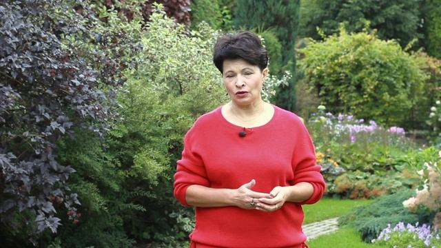 Онлайн-курс Марины Шиманской "МИКСБОРДЕР – УНИВЕРСАЛЬНЫЙ ЦВЕТНИК ДЛЯ ЛЮБОГО САДА"! смотреть онлайн