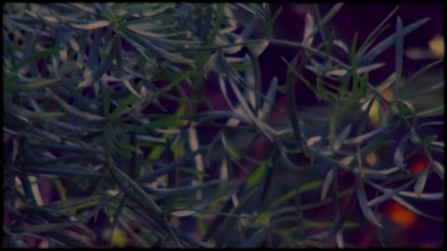 sony cx580v test смотреть онлайн