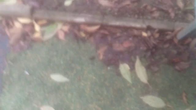 Разборка пылесоса Samsung Air Track 1600w SC4520 смотреть онлайн