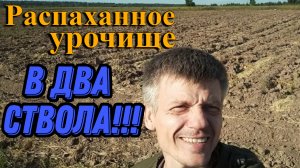 Коп монет. МОНЕТЫ лежат на поверхности!