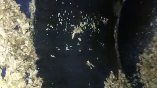 Обслуживание водонагревателя Ariston Ti tronic 50v, 50l, 230В, 1500W смотреть онлайн