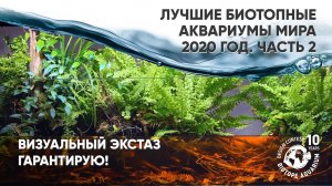 Лучшие биотопные аквариумы мира 2020 года. Часть 2 #BADC2020