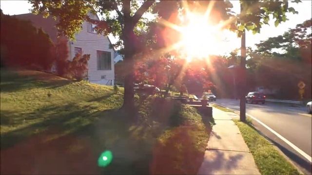 Panasonic HC-V770 Video Test 2016 #PanasonicCamera #PanasonicHCV770 смотреть онлайн