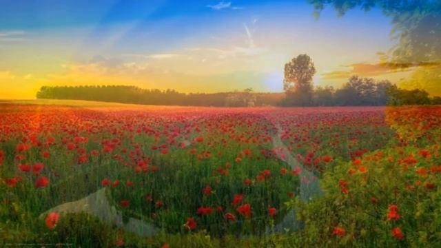 Освободите свое сознание от хлама и все начнет меняться. Елена Ушанкова Коучинг "Новый Сценарий" смотреть онлайн