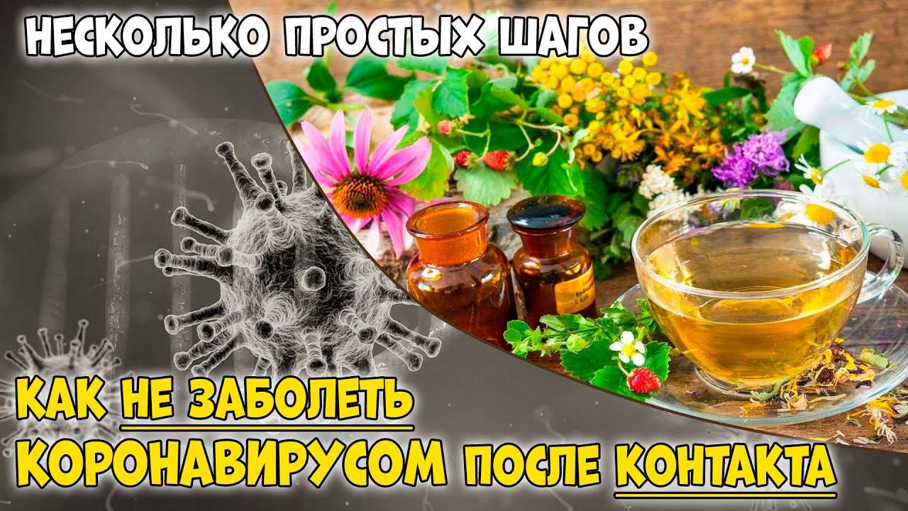 Что делать после контакта с коронавирусом: шаги чтобы снизить риск заболевания смотреть онлайн