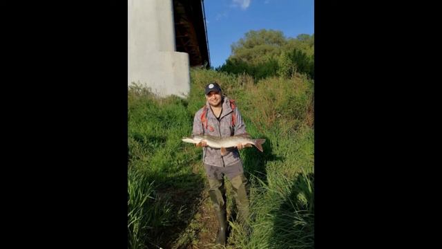 Так выглядит рыбацкое счастье смотреть онлайн