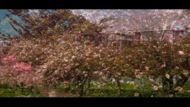 Самые красивые парки мира смотреть онлайн