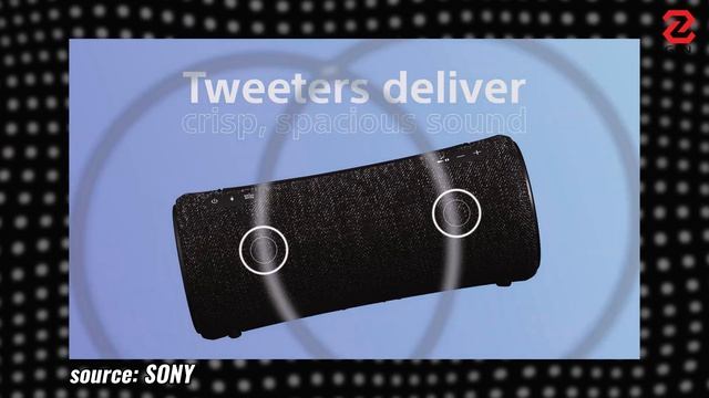 Đánh giá Sony SRS - XG300: đã vừa hay lại còn vừa đẹp! | Genz Viet смотреть онлайн