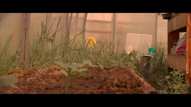 Доходов в деревне нет, огород поможет. смотреть онлайн