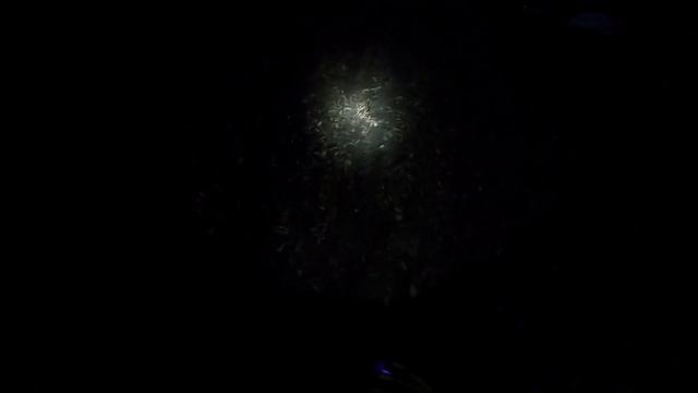 ИЩЕМ ПОТЕРЯННУЮ ШПИЛЬКУ. УДАЛОСЬ НАЙТИ? смотреть онлайн
