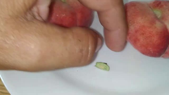 Flat or Doughnut Peach (Prunus persica var platycarpa) смотреть онлайн