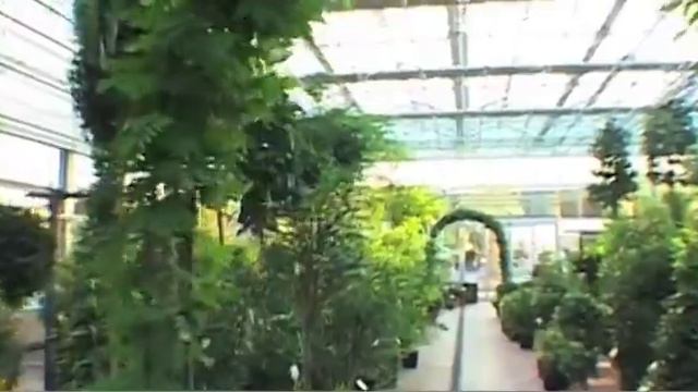 Vannucci Plants at Expo Shanghai 2010 смотреть онлайн