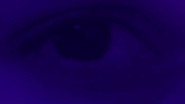 сукины дети без слов