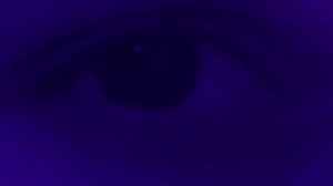 сукины дети без слов