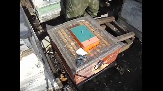 весенние работы на пасеке - как узнать что пришла время расширять семью пчел или отводок смотреть онлайн