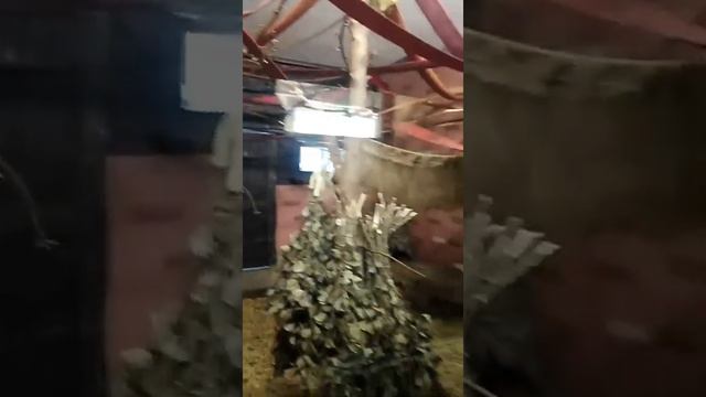 Красноярский зоопарк Роев ручей 2022 г ❄️ смотреть онлайн