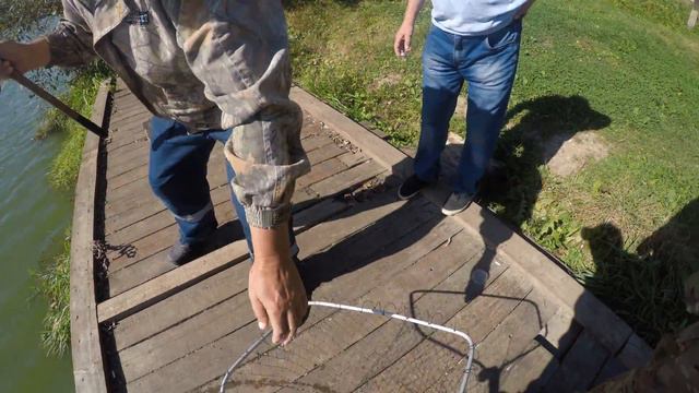 Карп начинает брать смотреть онлайн