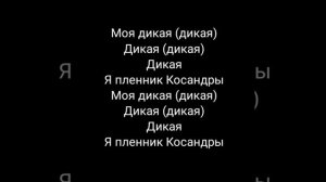 Мияги & Andy Panda - Моя Дикая Кассандра ( Lyric текст песни )