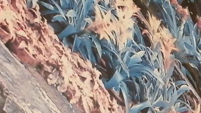 почему нельзя использовать карты памяти micro sd с адаптером в видеокамере? смотреть онлайн