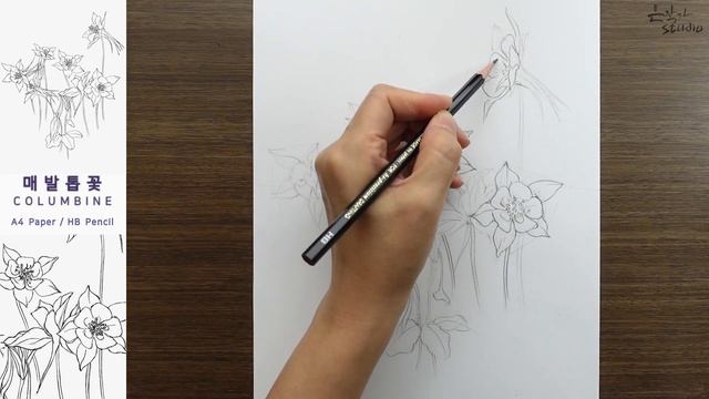 매발톱꽃 연필스케치와 전사과정 | Columbine Drawing | 꽃그림 강좌 95-1 смотреть онлайн