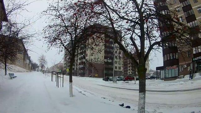 Белгородская область. Дубовое. Таврово смотреть онлайн