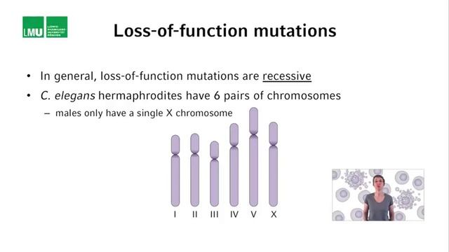 2 2 Lecture 2 Programmed cell death in C elegans 16 59 смотреть онлайн
